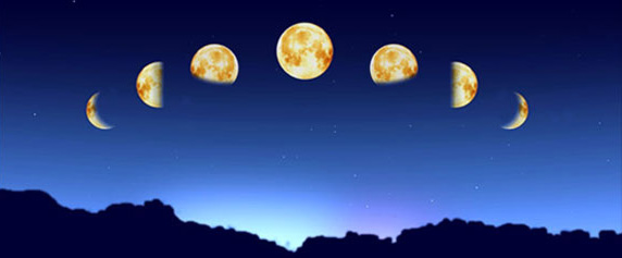 Contact Maya White: Astrologer and Intuitive Guide