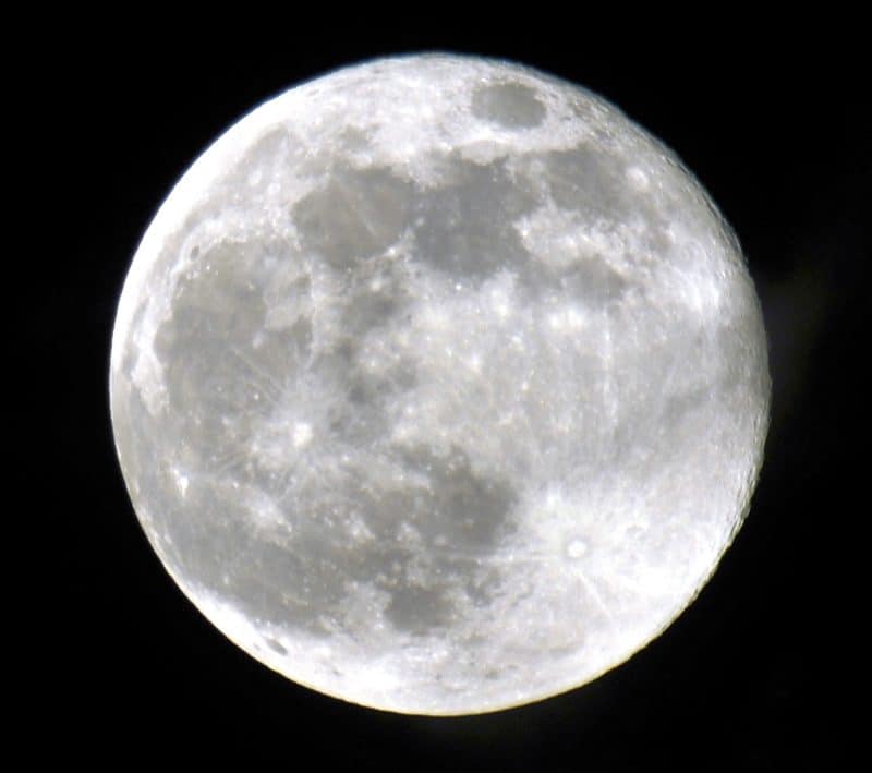New Moon Solar Eclipse Manifest Your Reality Maya White Astrology